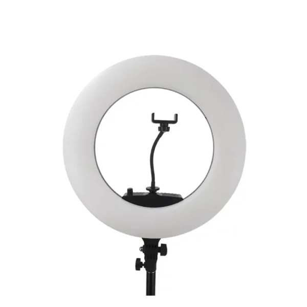 Photography LED Ring Light: Professional Ring Light 96w Cool+Warm LED